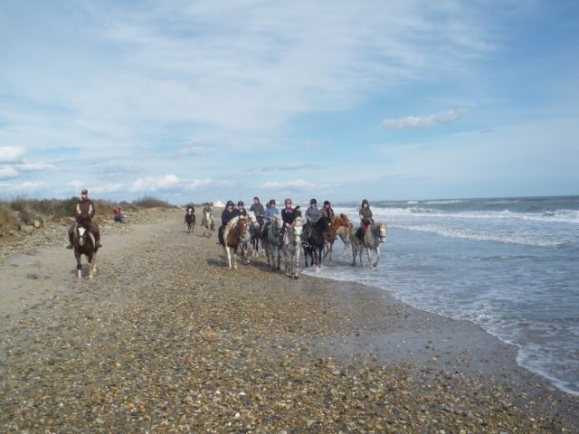  Passeios a cavalo na praia de Aresquiers 